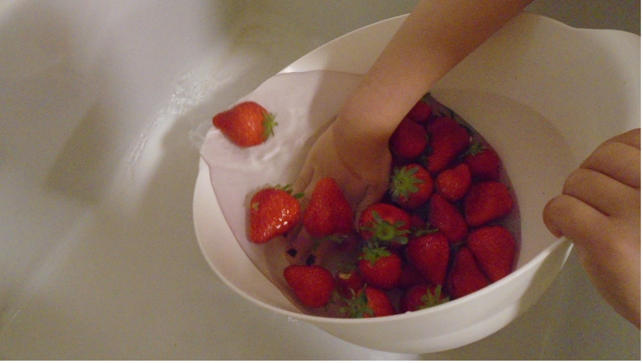 Erdbeeren